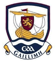 Galway Hurling Board